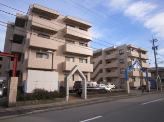 信開ウェラコートオレンジ