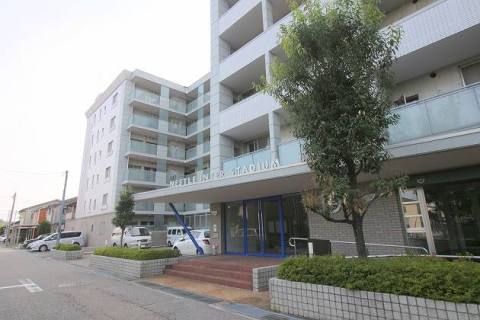 ネスル・インタースタジアム