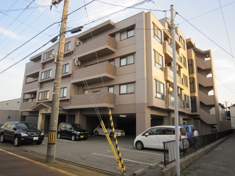 トレジャー芦田