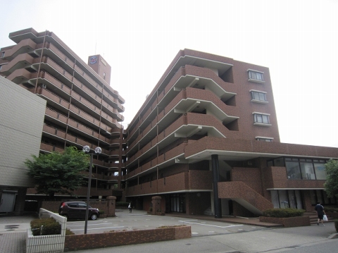 信開ドムス三社