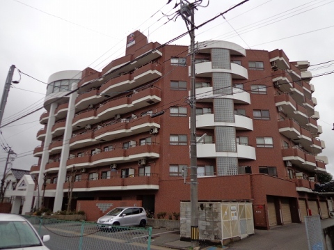 信開ドムス本府中